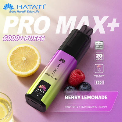 Berry Lemonade