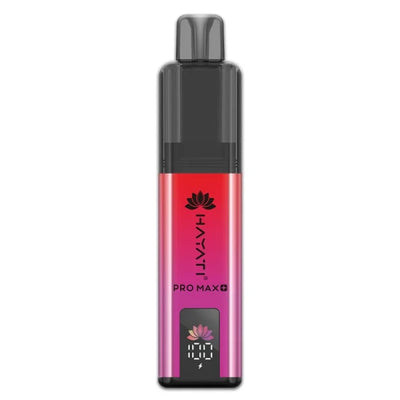 Strawberry Raspberry Ice